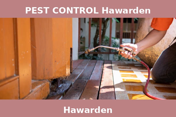 PEST CONTROL Hawarden